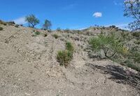 R22236: Rural land for Sale in Taberno, Almería
