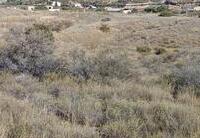 R22252: Rural land for Sale in Santa Maria De Nieva, Almería