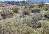 R22252: Rural land for Sale in Santa Maria De Nieva, Almería