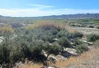 R22269: Warehouse for Sale in Arboleas, Almería