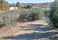 R22270: Landgoed Te koop in El Saltador, Almería