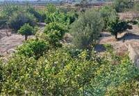 R22270: Landgoed Te koop in El Saltador, Almería