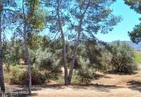 R22271: Cortijo for Sale in Rambla Grande, Almería