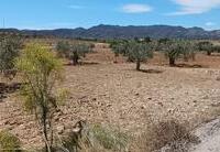 R22273: Rural land for Sale in El Saltador, Almería