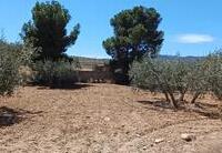 R22273: Rural land for Sale in El Saltador, Almería