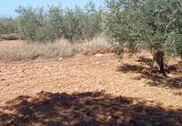 R22273: Rustikales Grundstück zu verkaufen In El Saltador, Almería