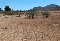 R22273: Terrain rustique en vente dans El Saltador, Almería
