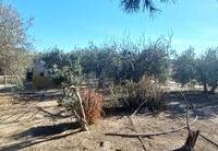 R22298: Rural land for Sale in La Morena, Almería