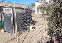 R22298: Rural land for Sale in La Morena, Almería