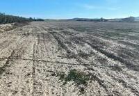 R22298: Rural land for Sale in La Morena, Almería