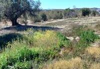 R22302: Cortijo en venta en Los Llanos (Taberno), Almería