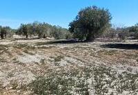 R22302: Cortijo en venta en Los Llanos (Taberno), Almería