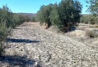 R22302: Cortijo en venta en Los Llanos (Taberno), Almería