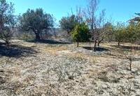 R22302: Cortijo en venta en Los Llanos (Taberno), Almería