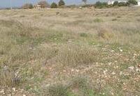 R22304: Rural land for Sale in Rambla Grande, Almería