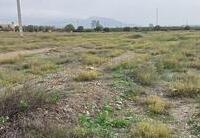 R22304: Rural land for Sale in Rambla Grande, Almería