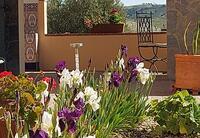 R22307: Cortijo en venta en Velez-Rubio, Almería