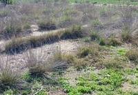 R22308: Rural land for Sale in El Saltador, Almería