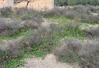 R22308: Rural land for Sale in El Saltador, Almería