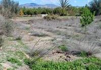 R22308: Rural land for Sale in El Saltador, Almería
