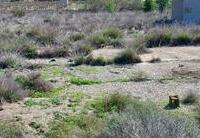 R22308: Rural land for Sale in El Saltador, Almería