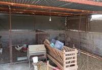R22319: Cortijo en venta en Rambla Grande, Almería