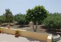 R22319: Cortijo en venta en Rambla Grande, Almería