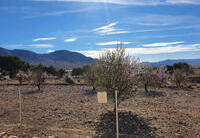 R22325: Villa en venta en Goñar, Almería