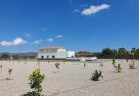 R22326: Chalet en vente dans La Estacion, Murcia