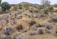 R22332: Parcela Rústica en venta en Urcal, Almería