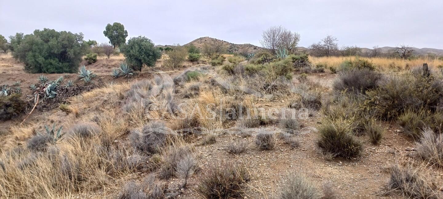 R22332: Parcela Rústica en venta en Urcal, Almería R22332: Parcela Rústica en venta en Urcal, Almería