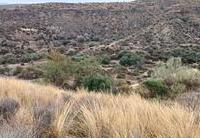 R22332: Parcela Rústica en venta en Urcal, Almería