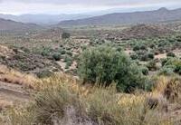 R22332: Parcela Rústica en venta en Urcal, Almería