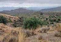 R22332: Parcela Rústica en venta en Urcal, Almería