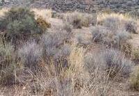 R22332: Parcela Rústica en venta en Urcal, Almería