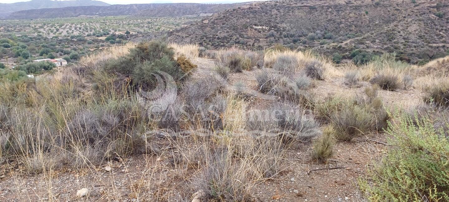 R22332: Parcela Rústica en venta en Urcal, Almería R22332: Parcela Rústica en venta en Urcal, Almería