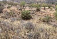 R22333: Parcela Rústica en venta en Urcal, Almería