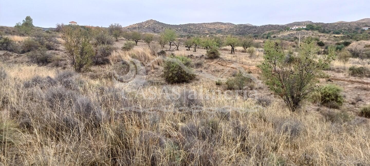 R22333: Parcela Rústica en venta en Urcal, Almería R22333: Parcela Rústica en venta en Urcal, Almería