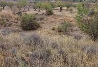R22333: Parcela Rústica en venta en Urcal, Almería