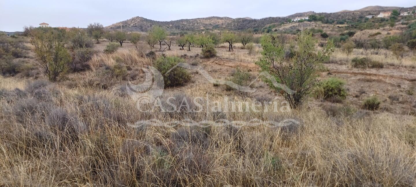 R22333: Parcela Rústica en venta en Urcal, Almería R22333: Parcela Rústica en venta en Urcal, Almería