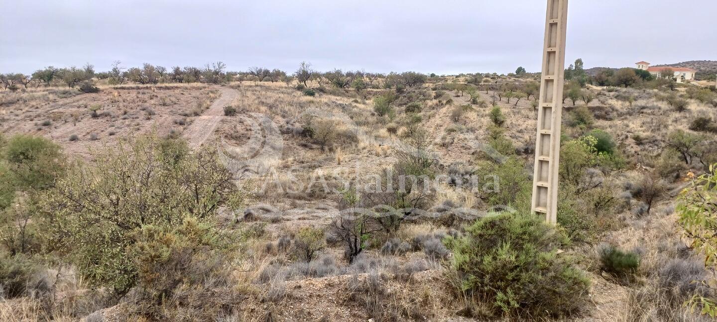 R22333: Parcela Rústica en venta en Urcal, Almería R22333: Parcela Rústica en venta en Urcal, Almería