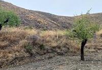 R22334: Parcela Rústica en venta en Los Pardos, Almería