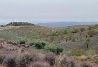 R22335: Parcela Rústica en venta en Los Pardos, Almería