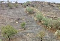 R22335: Parcela Rústica en venta en Los Pardos, Almería