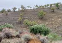 R22335: Parcela Rústica en venta en Los Pardos, Almería