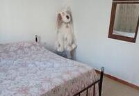 R22339: Cortijo en venta en Los Pardos, Almería