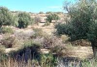 R22341: Cortijo en venta en Santopetar, Taberno, Almería
