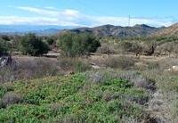 R22343: Rural land for Sale in Urcal, Almería