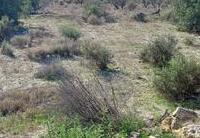 R22343: Rural land for Sale in Urcal, Almería