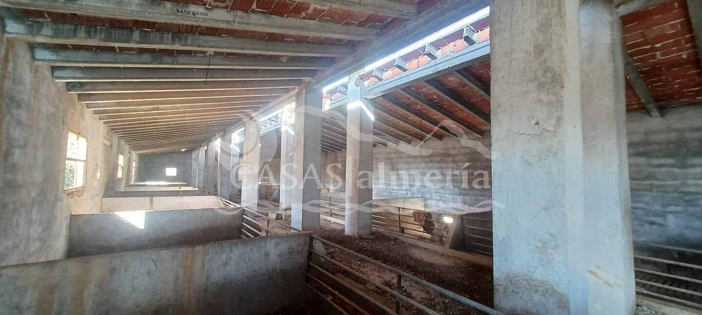 R22344: Cortijo for Sale in Santa Maria De Nieva, Almería R22344: Cortijo for Sale in Santa Maria De Nieva, Almería